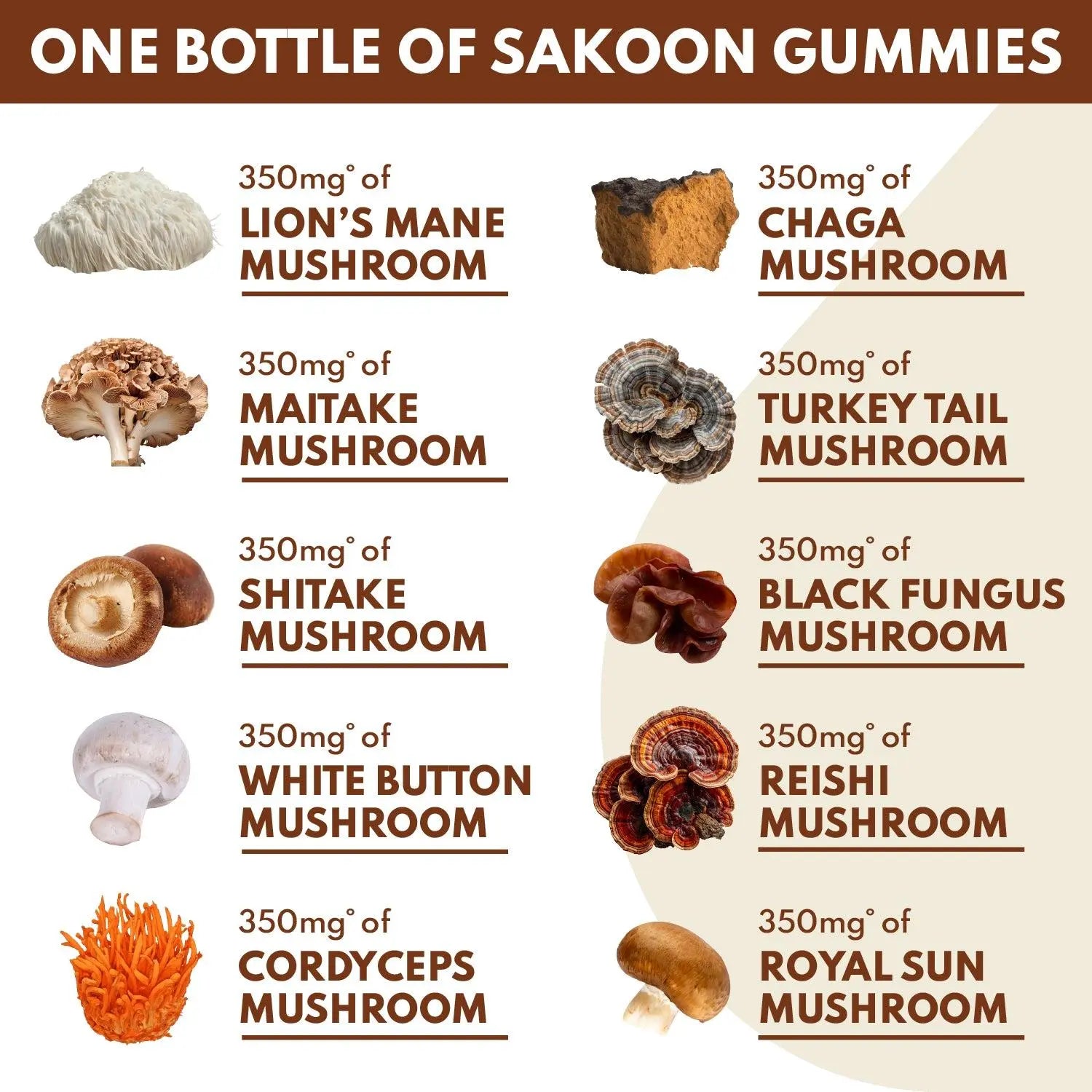 Sakoon Nutrition 10-In-1 Lions Mane Mushroom Complex Gummies for Brain Health and Immune Function - Fitness, Healthcare, Dietary Natural Supplements Natural Wellness Boost