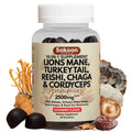 Sakoon Nutrition 10-In-1 Lions Mane Mushroom Complex Gummies for Brain Health and Immune Function - Fitness, Healthcare, Dietary Natural Supplements Natural Wellness Boost